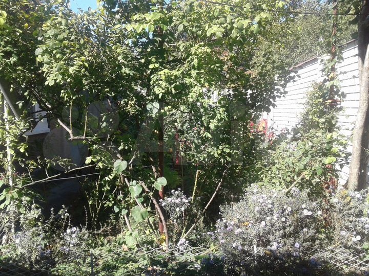 Дом 58,4 м² на участке 4,5 сот.