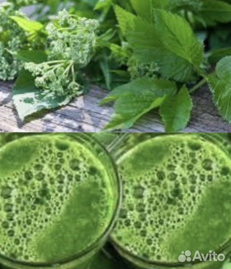 Сныть с Чистотелом на меду