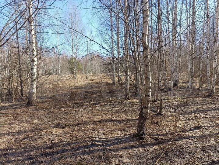 Участок 19,7 сот. (ИЖС)