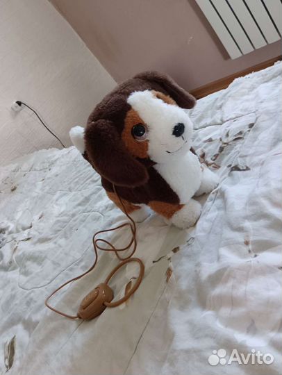 Мой питомец