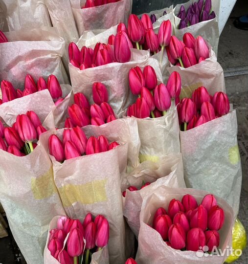 Тюльпаны к 8 марта