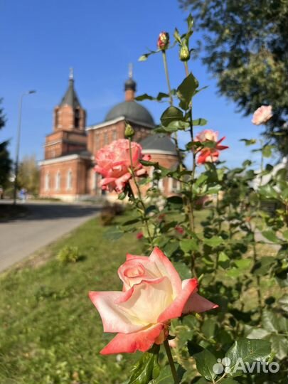 Няня для ребенка