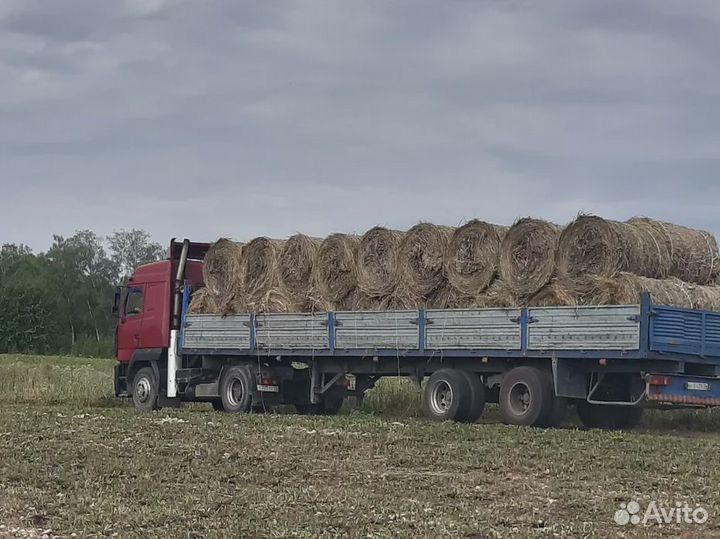 Сено в рулонах 2023