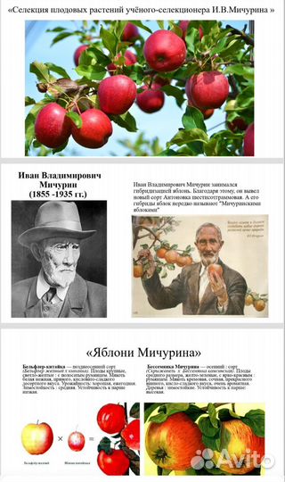 Создание презентации power point