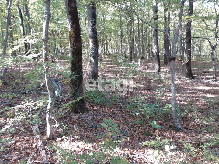 Участок 8 сот. (СНТ, ДНП)