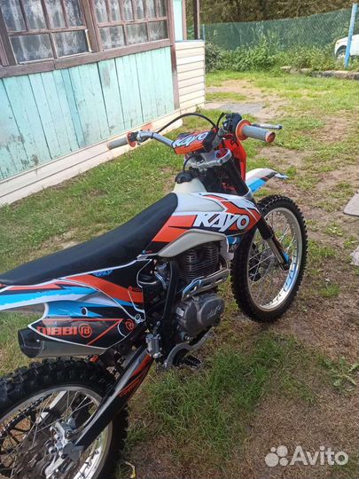 Kayo k1