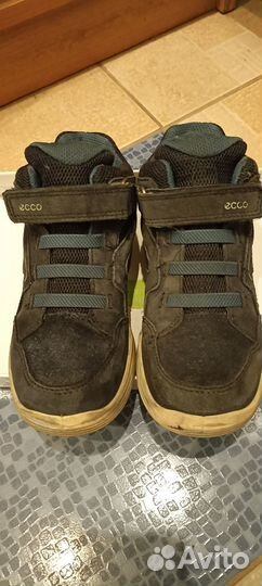 Ботинки ecco 31