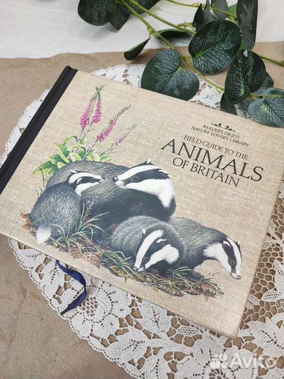 Книга путеводитель Животные Великобритании
