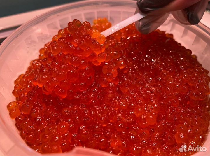 Красная икра Опт Горбуша Кета Нерка