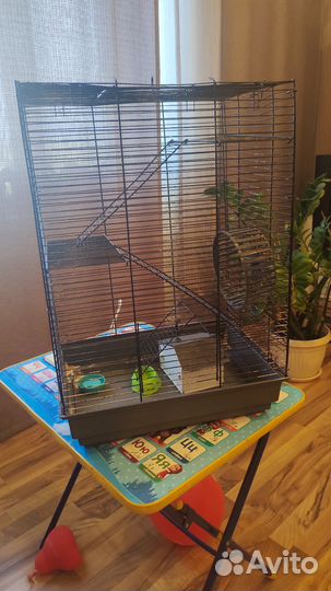 Клетка для сирийского хомяка