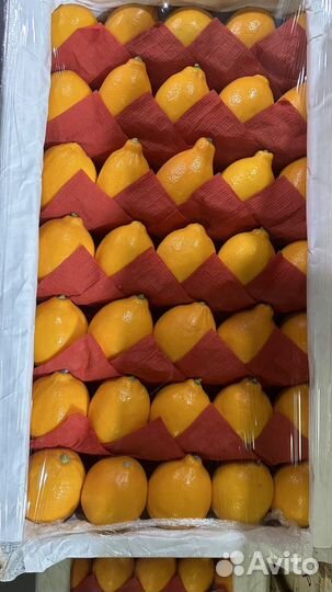 Лимон фрукт