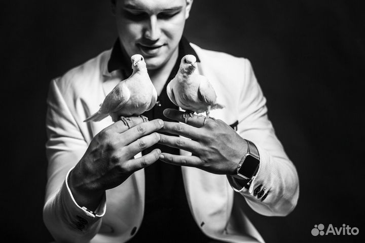 Фокусник Иллюзионист