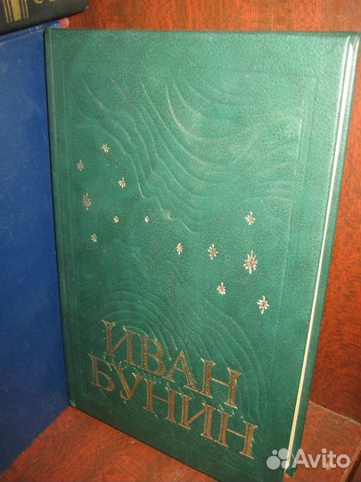 Русская классическая литература