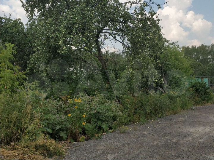 Участок 4,5 сот. (СНТ, ДНП)