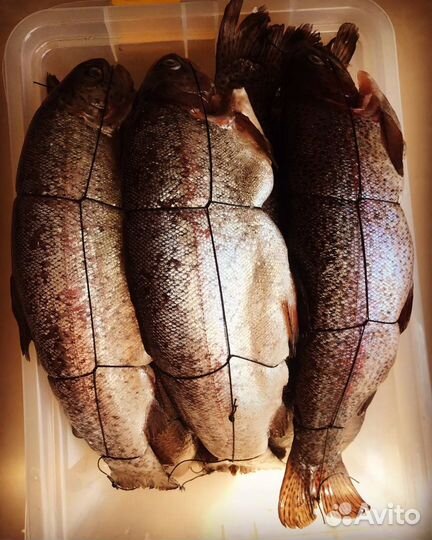 Рыба холодного и горячего копчения