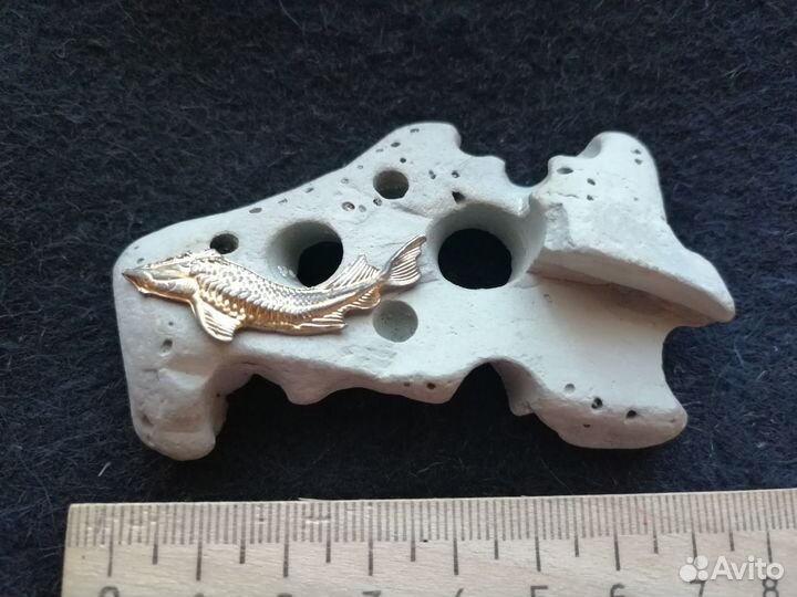 Рыбка на камне.окаменелость. морская тема