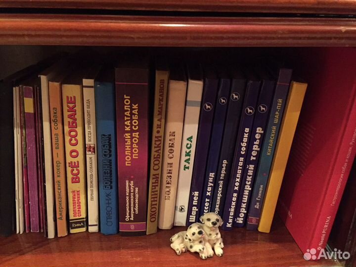 Разные Книги о собаках, кошках и пчелы