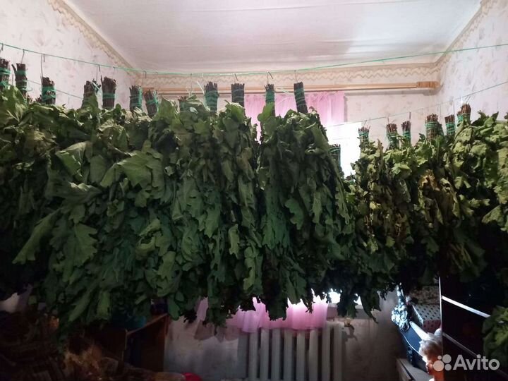 Дубовые веники для бани