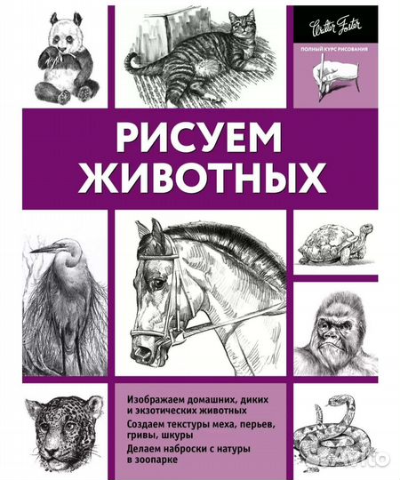 Книга Рисуем животных Тавонатти М. мягкая обложка