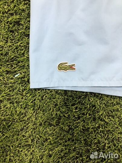 Шорты lacoste
