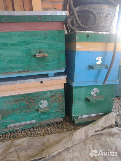 Продам улья для пчел