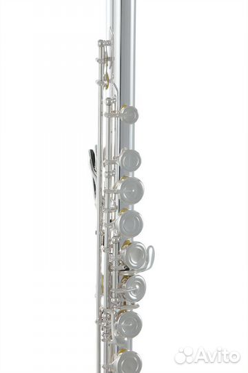 Флейта Roy Benson FL-602E