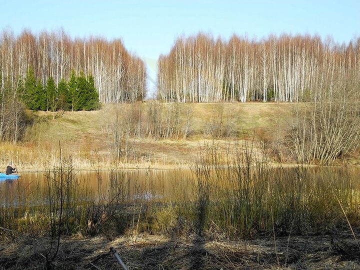 Участок 15,6 сот. (СНТ, ДНП)