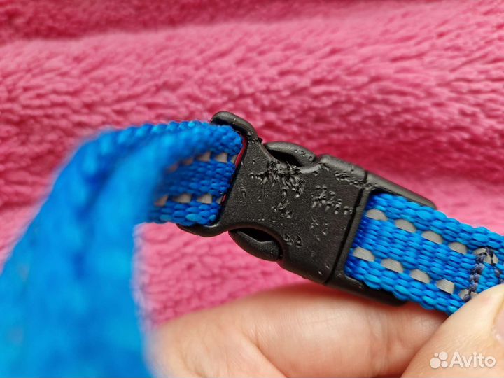 Ошейник для животных