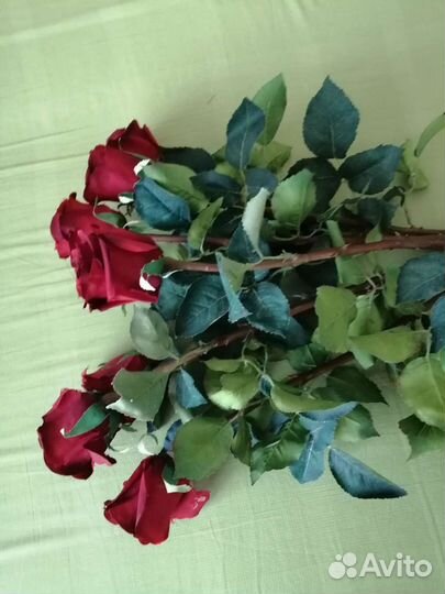 Искусственные розы