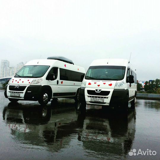 Заказ автобуса.Аренда микроавтобуса