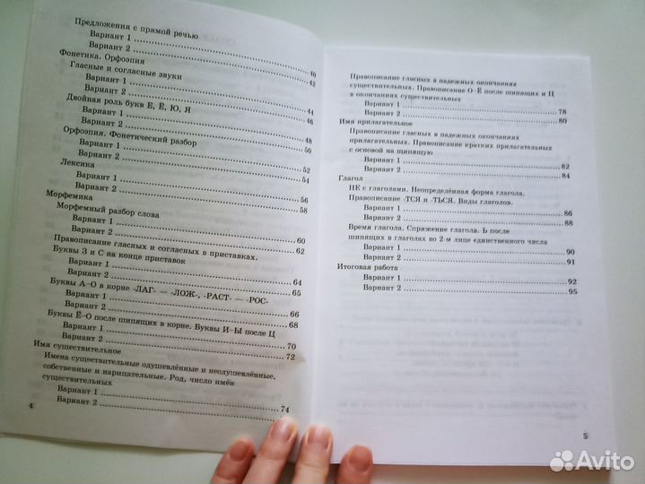 Самостоятельные работы по русскому языку 5 класс