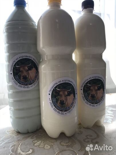 Молоко, сметана, творог, масло, сыры