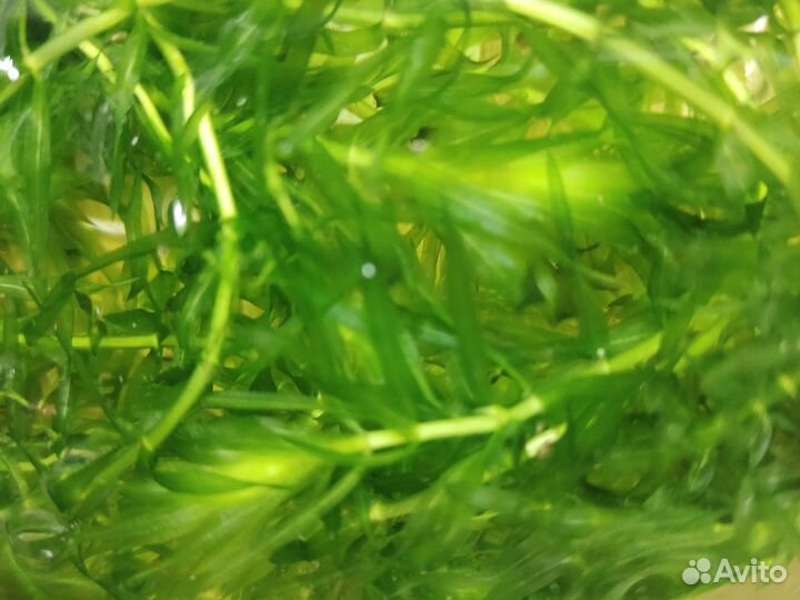 Петерсон 1 класс 3 книги, 2учебник и тетрадь