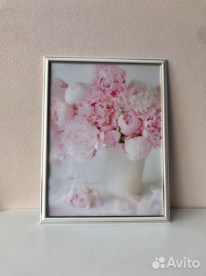 Постеры картина пионы 30*40