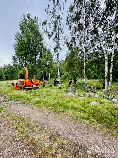 Расчистка участков от деревьев и кустарника