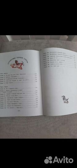 Приключение Чиполлино. Путешествие Голубой Стрелы