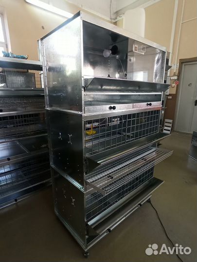 Брудер(клетка) для обогрева цыплят