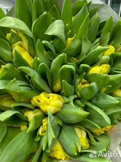 Тюльпаны с доставкой