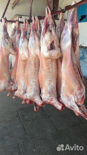 Баранина ребра,шея,ливер,туши оптом