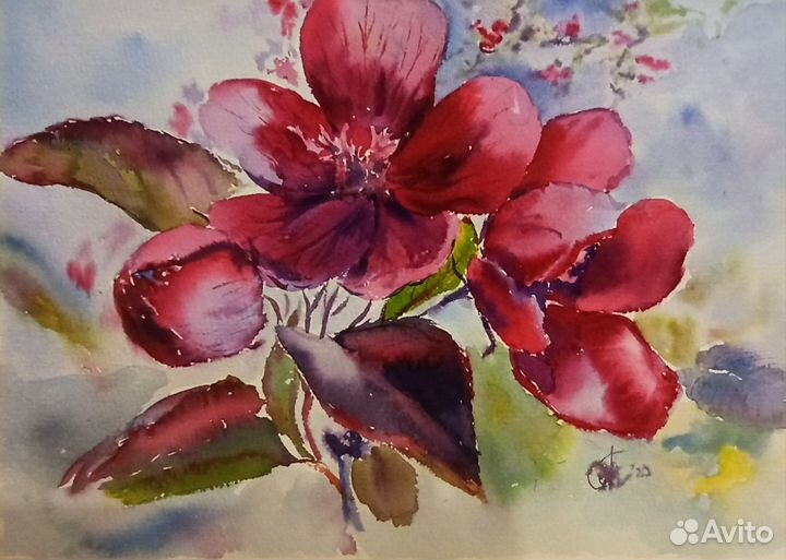 Картина акварель (цветы)