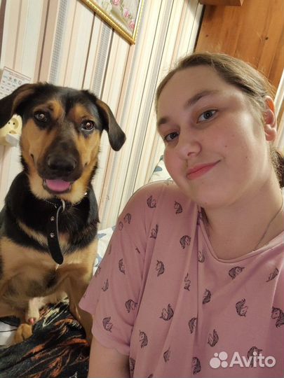 Любая работа, подработка