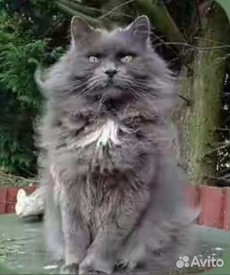 Вязка без обязательств