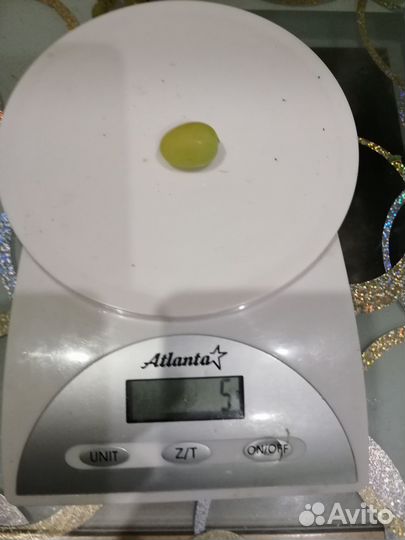 Саженцы винограда