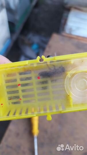 Медок-сахорок