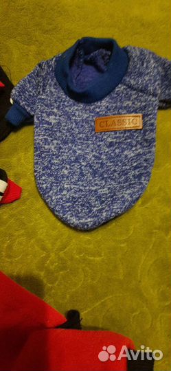 Одежда для маленьких собак