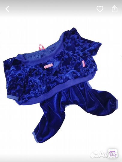 Велюровый костюм ForMyDogs