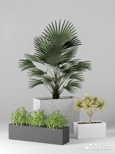 Бетонные кашпо на заказ и в наличии