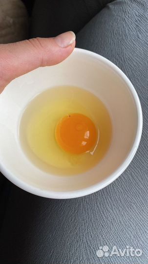 Ягоды, саженцы, огурцы, яйца