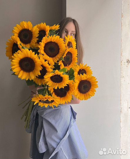 Подсолнухи цветы