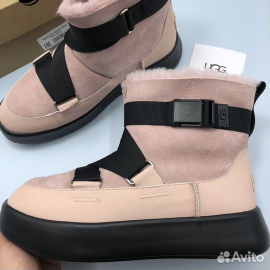 Угги Ugg Boom Buckle Boot Pink